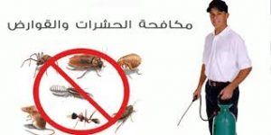 ارخص شركة ابادة حشرات شمال الرياض